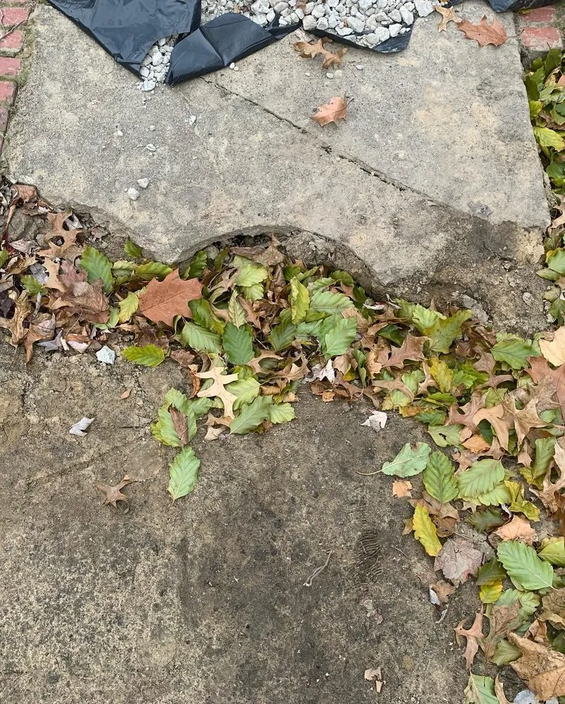 Professional landscape installation in Detroit, MI - Teek Landscaping