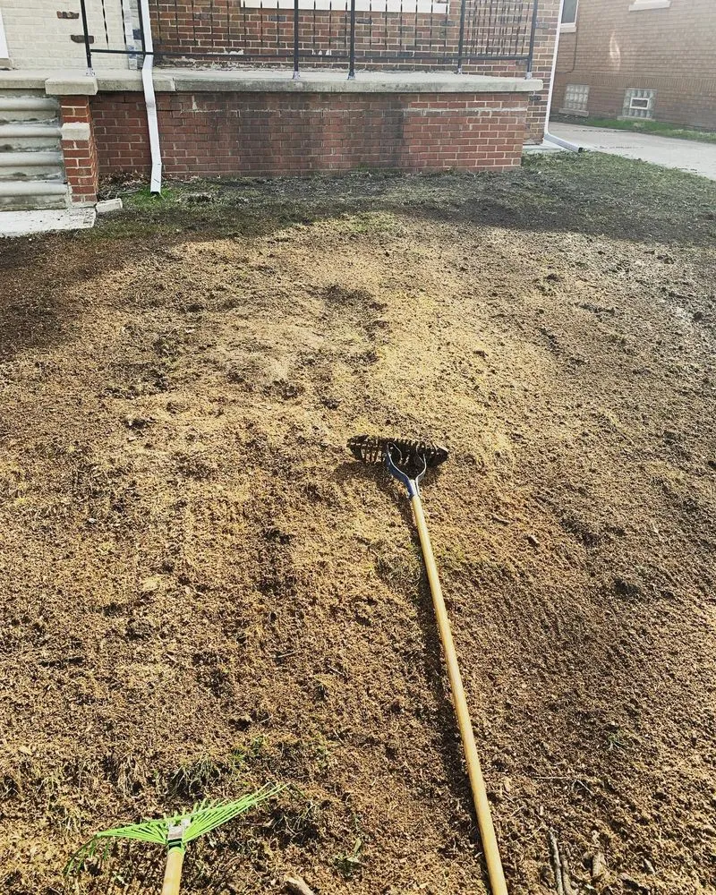 Expert yard cleanup service experts serving Detroit, MI - Teek Landscaping