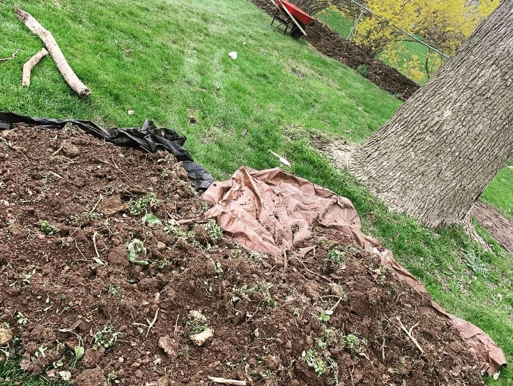 Top-rated lawn care service experts serving Detroit, MI - Teek Landscaping