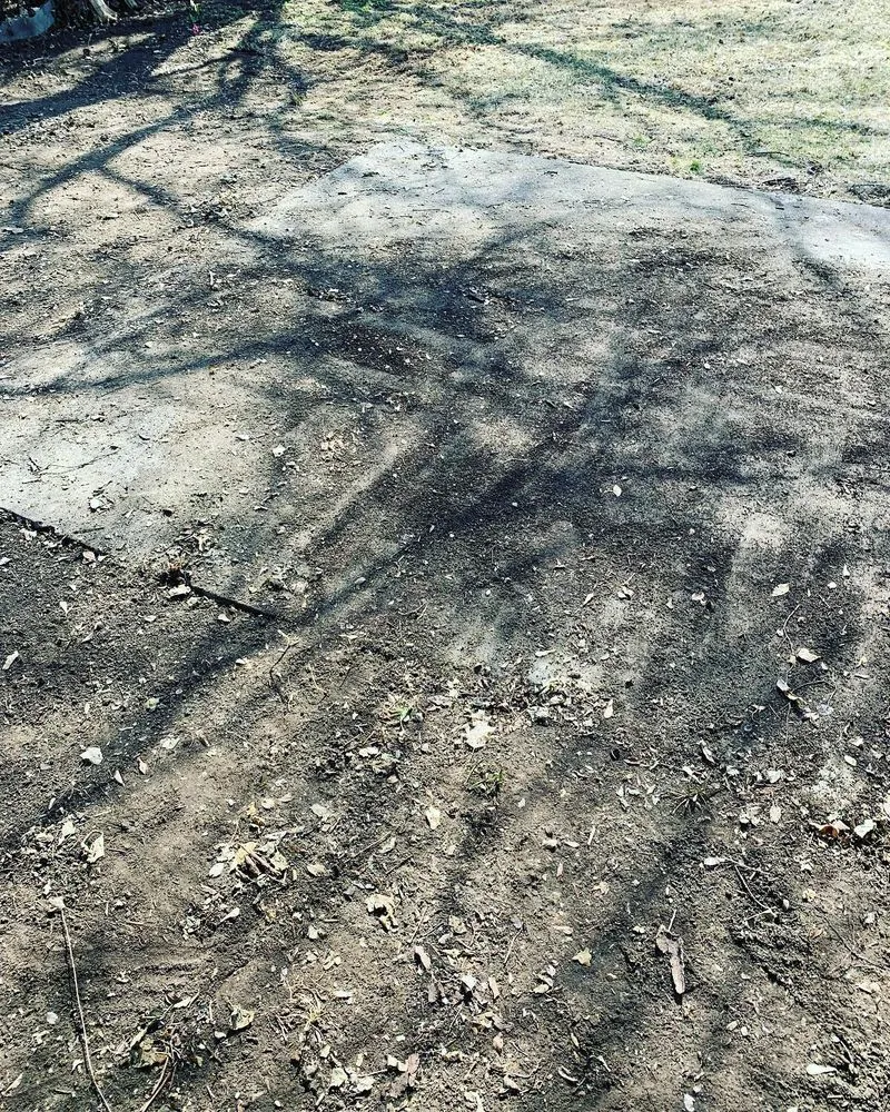 Reliable lawn mowing service in Detroit, MI by Teek Landscaping