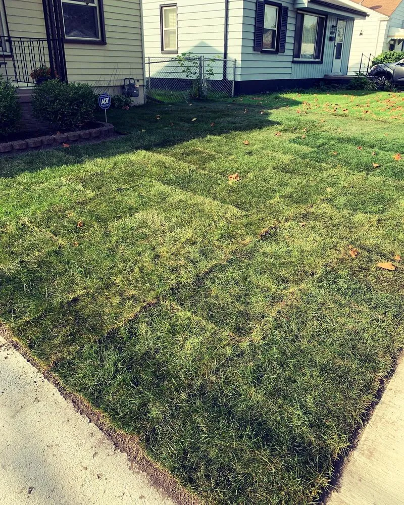 Trusted garden landscaping in Detroit, MI by Teek Landscaping