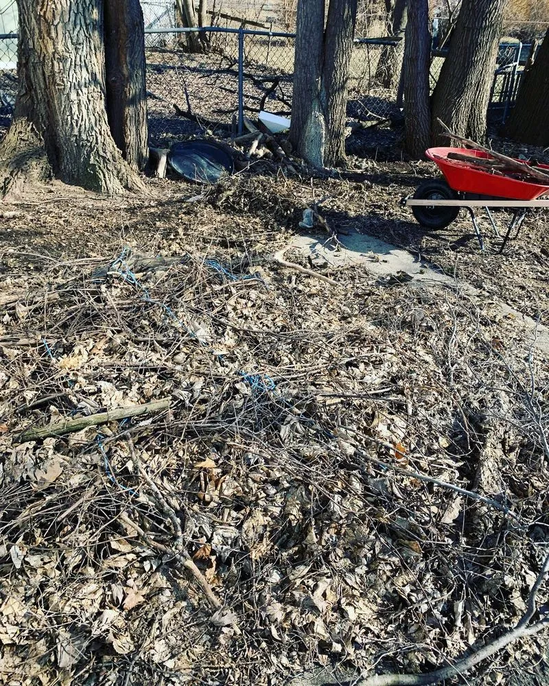 Top-rated landscape installation for beautiful yards across Detroit, MI - Teek Landscaping