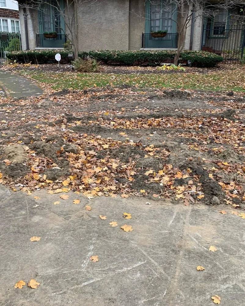 Local yard cleanup service in Detroit, MI by Teek Landscaping