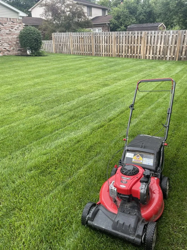 Expert yard maintenance in Ypsilanti, MI by Teels Lawn & Snow