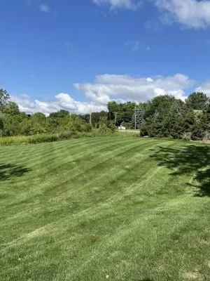 Teels Lawn & Snow Logo