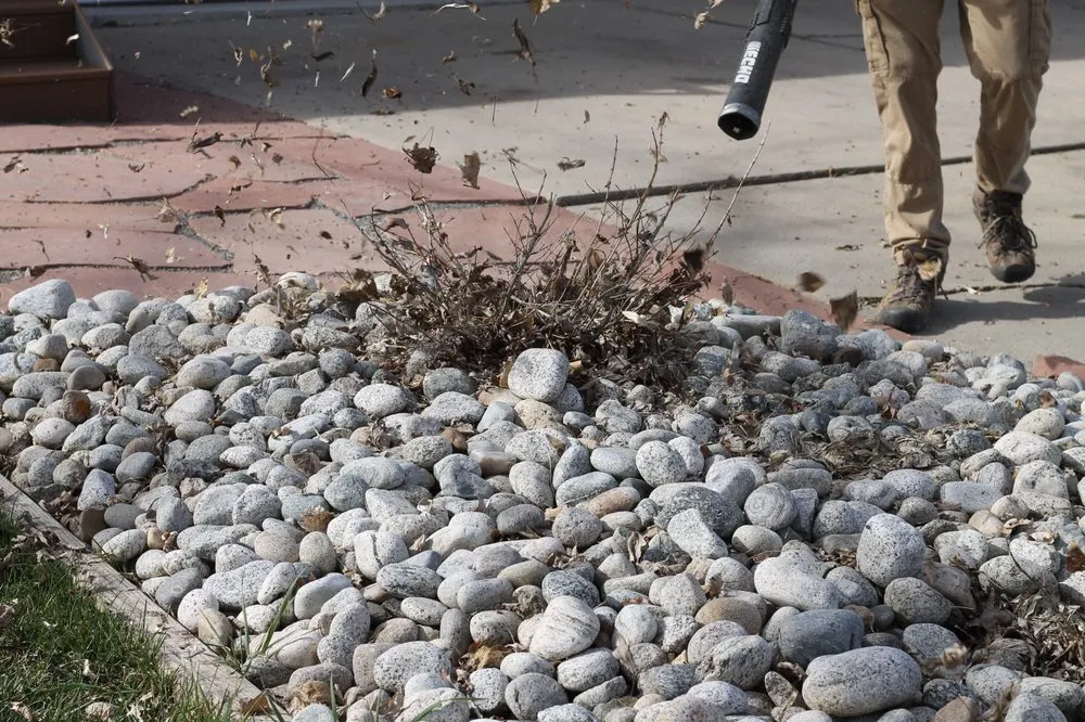 Professional yard cleanup service in Longmont, CO by Teem Green