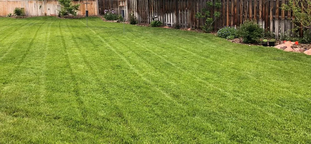 Reliable landscape installation for beautiful yards in Longmont, CO by Teem Green