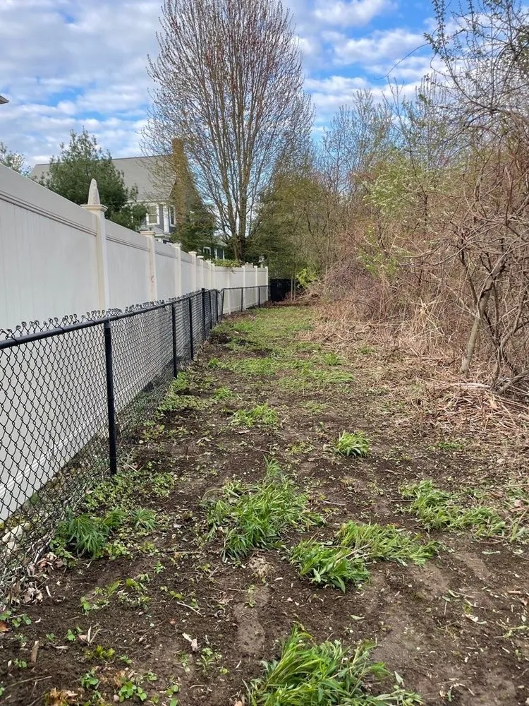 Reliable landscape design in Worcester, MA - Teen Green Landscaping