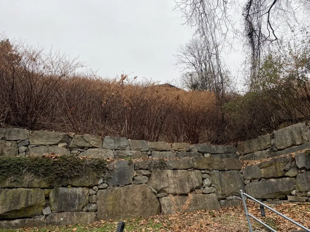 Affordable landscaping services in Westfield, NJ - TeenAssistant