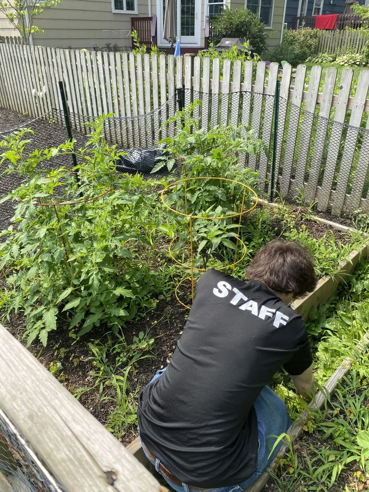 Trusted landscape installation experts serving Westfield, NJ - TeenAssistant