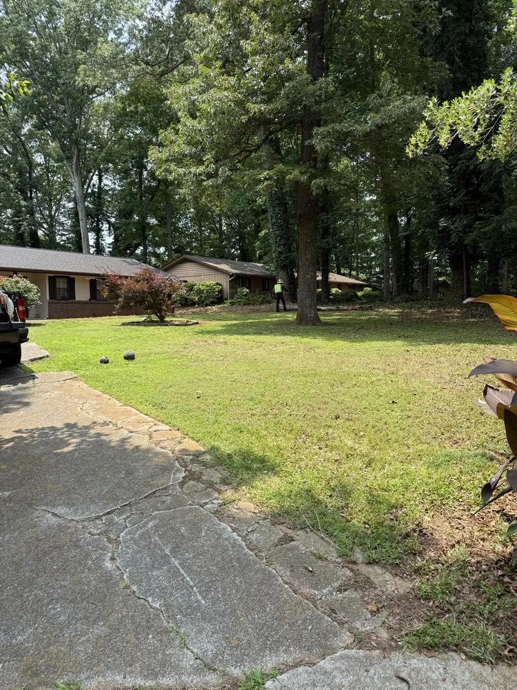 Reliable landscape design in Snellville, GA - TeenGreen Landscaping