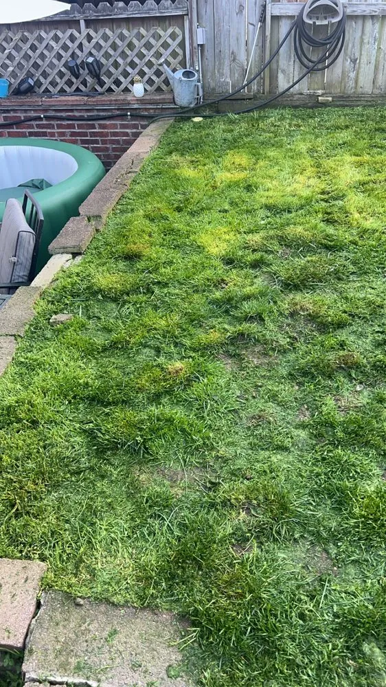 Professional landscape installation in Springdale, PA by Teens landscape