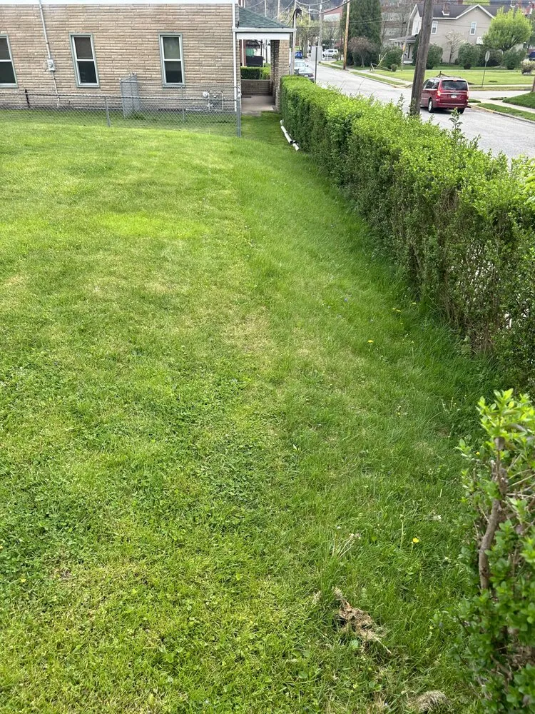 Affordable yard cleanup service experts serving Springdale, PA - Teens landscape