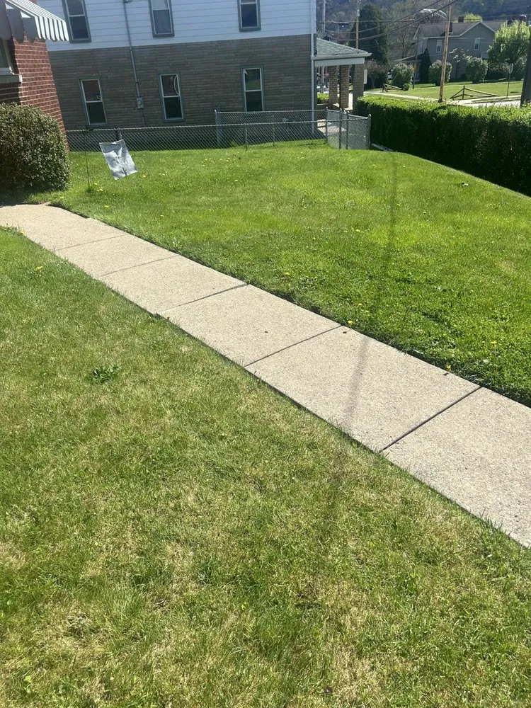 Expert yard cleanup service experts serving Springdale, PA - Teens landscape