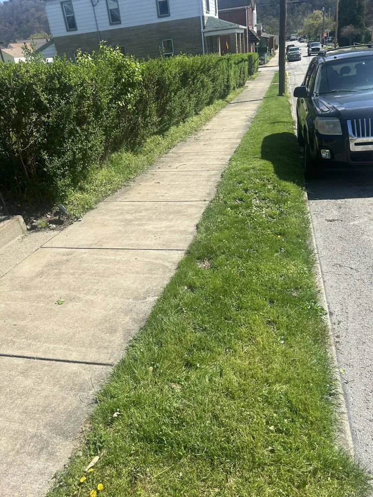 Professional garden landscaping experts serving Springdale, PA - Teens landscape