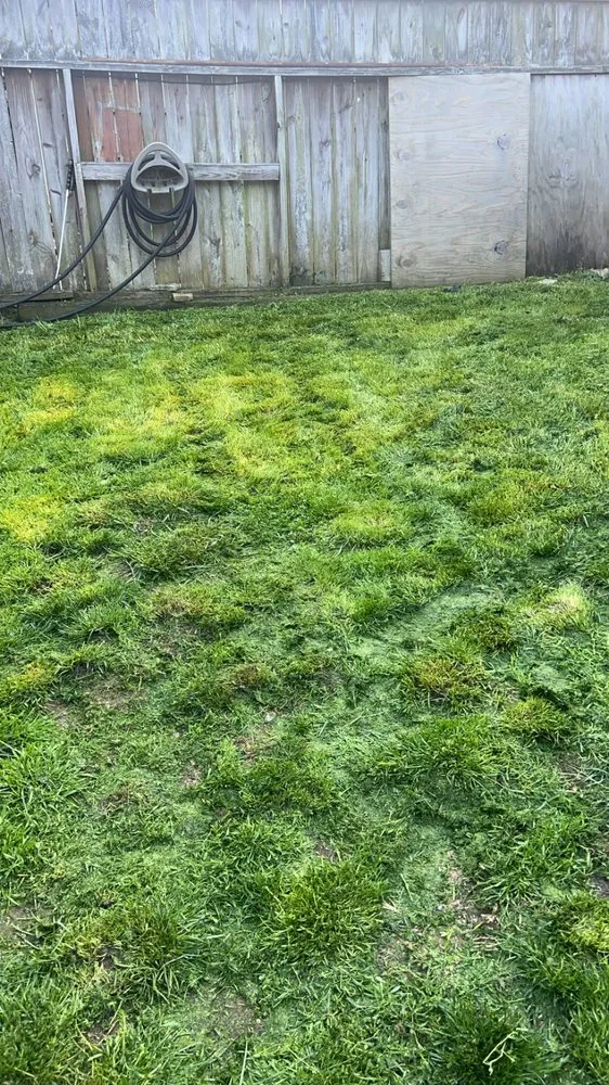 Local landscape installation for homes in Springdale, PA by Teens landscape