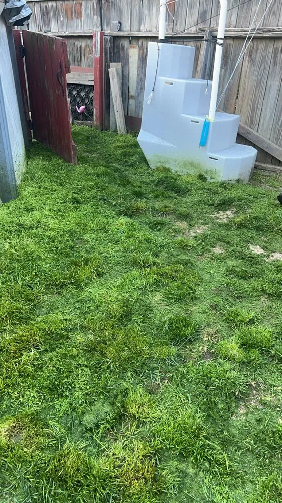 Local yard maintenance in Springdale, PA - Teens landscape