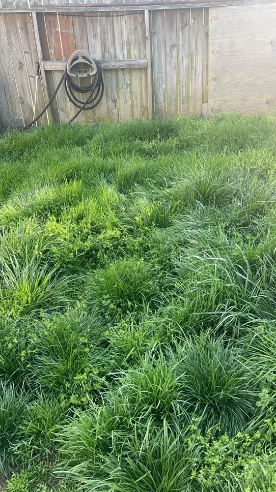 Professional landscape installation experts serving Springdale, PA - Teens landscape