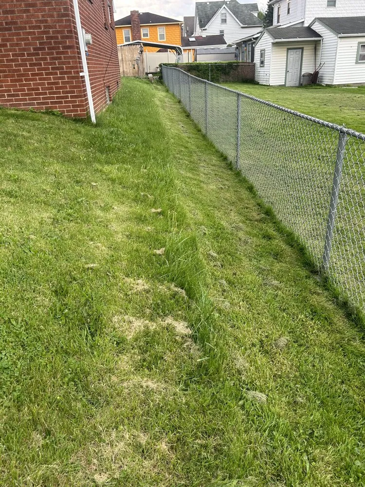 Local landscape installation near you across Springdale, PA - Teens landscape