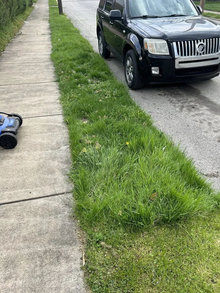 Top-rated yard maintenance for residential properties in Springdale, PA by Teens landscape