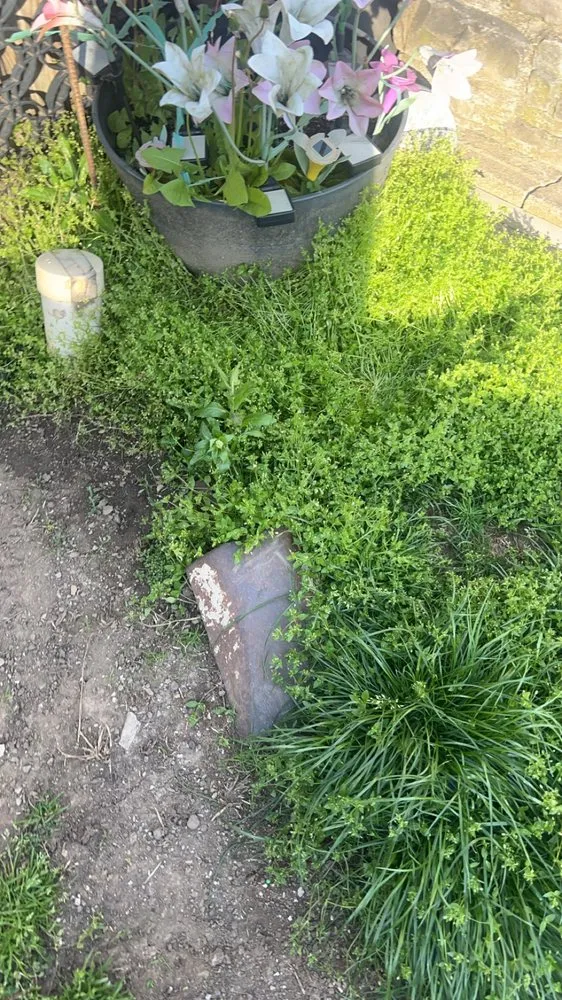 Affordable residential landscaping with custom design in Springdale, PA by Teens landscape