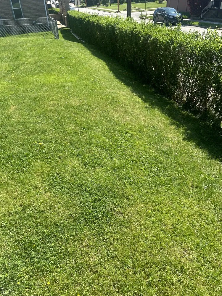 Top-rated outdoor landscaping for homes across Springdale, PA - Teens landscape