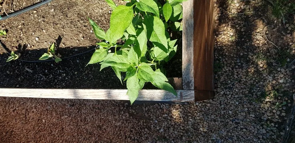 Custom landscape installation in Santa Fe, NM by Teenscape Landscaping Solutions