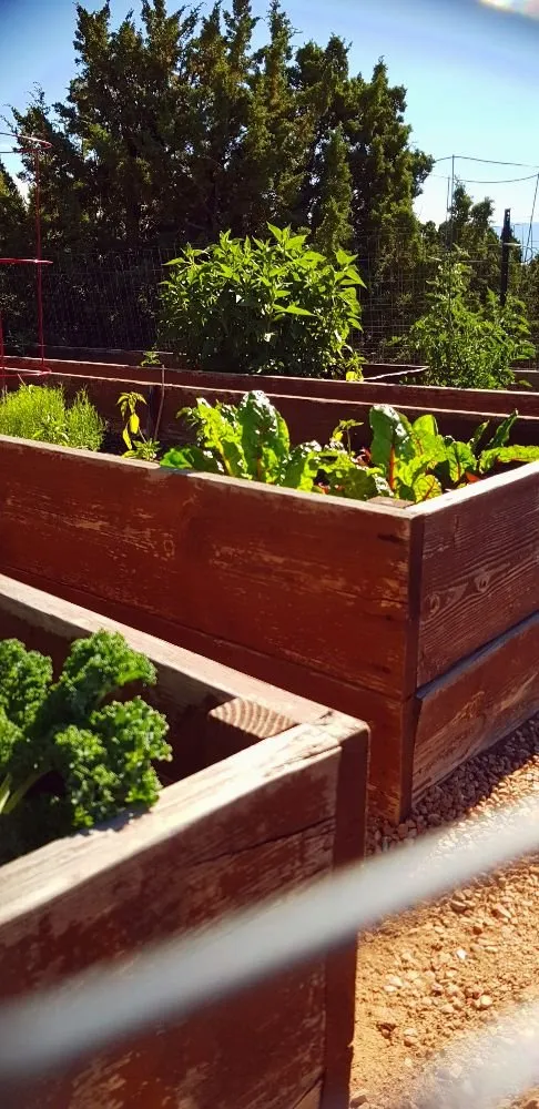 Top-rated lawn care service in Santa Fe, NM - Teenscape Landscaping Solutions