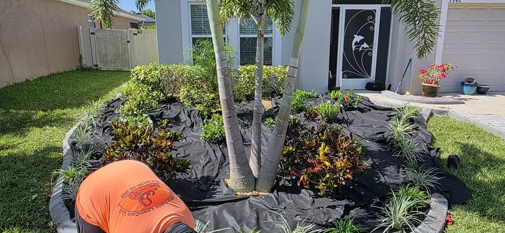 Top-rated garden landscaping experts serving West Palm Beach, FL - Tee's Affordable Lawn care