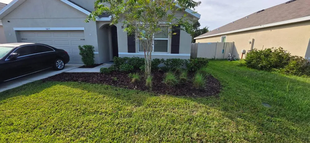 Trusted landscape installation experts serving West Palm Beach, FL - Tee's Affordable Lawn care