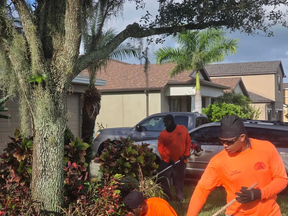 Affordable yard maintenance for year-round maintenance in West Palm Beach, FL by Tee's Affordable Lawn care