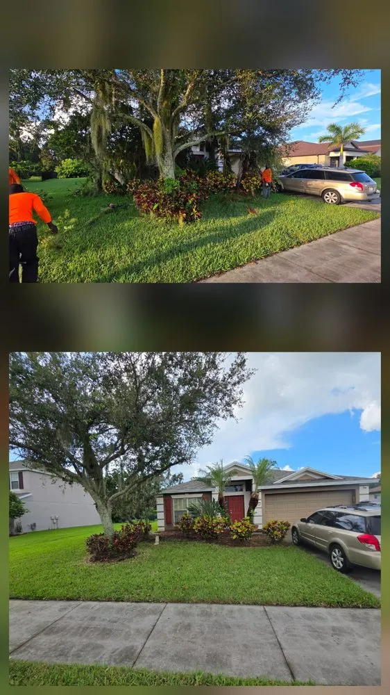 Local residential landscaping with custom design across West Palm Beach, FL - Tee's Affordable Lawn care