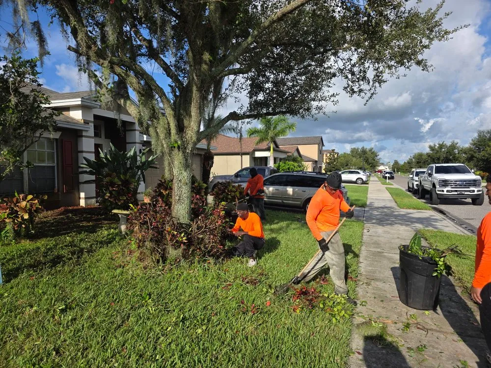 Trusted landscape design experts serving West Palm Beach, FL - Tee's Affordable Lawn care