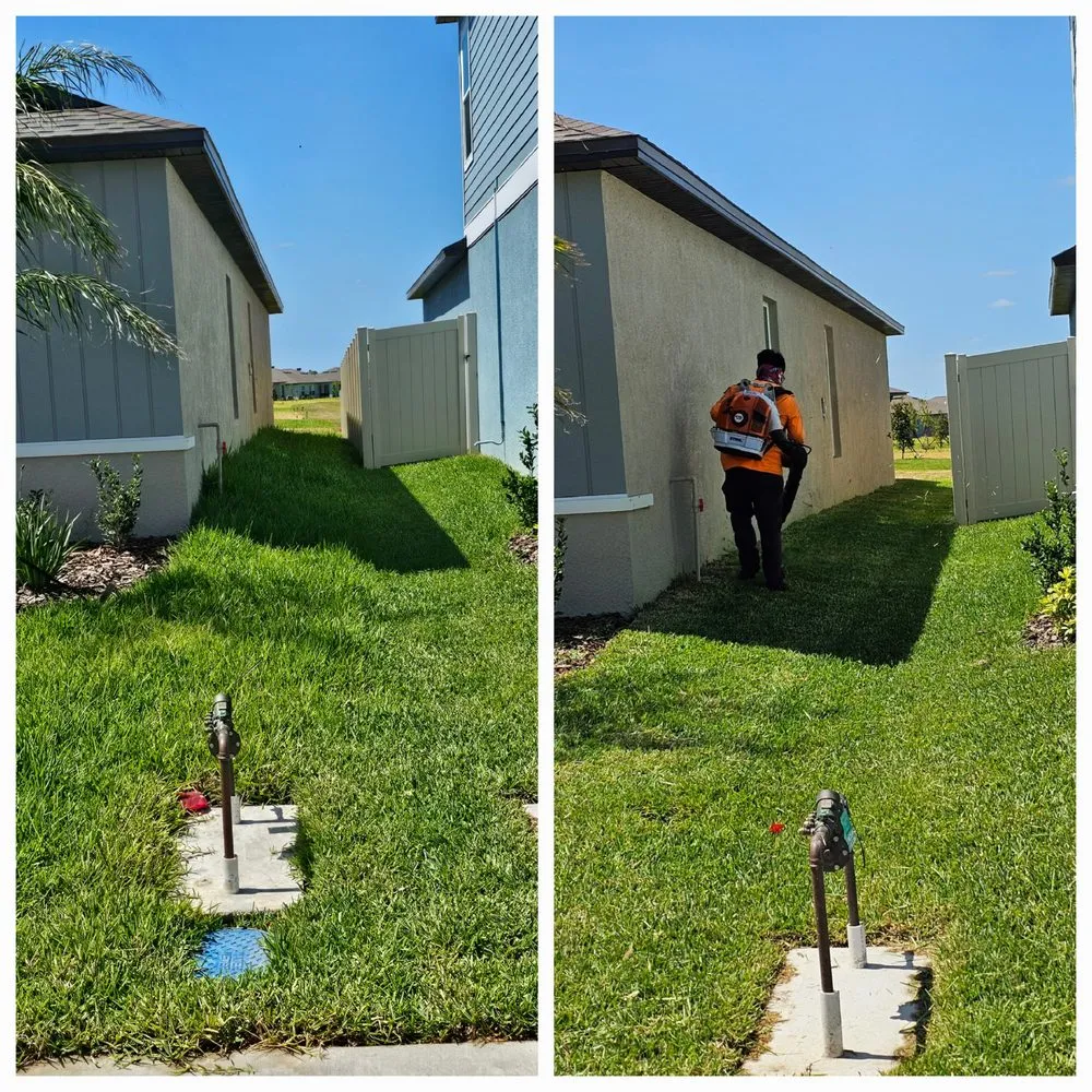 Custom yard maintenance for year-round maintenance in West Palm Beach, FL by Tee's Affordable Lawn care