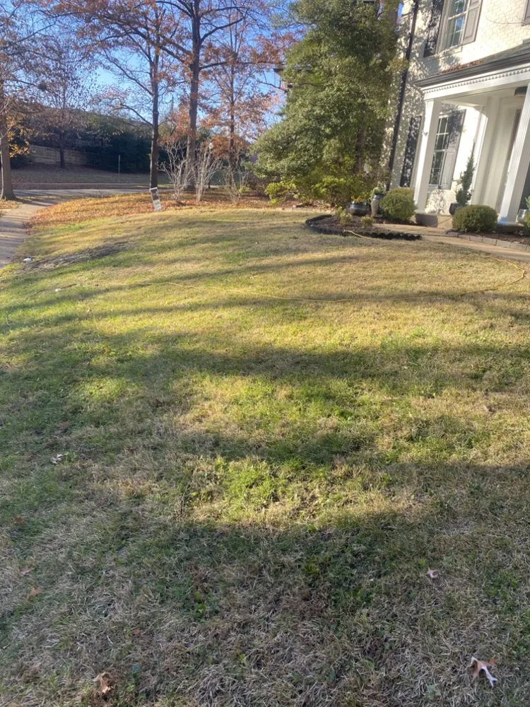 Top-rated lawn care service for outdoor upgrades in Saint Louis, MO by Tees Cut & Clean Lawn Care Services