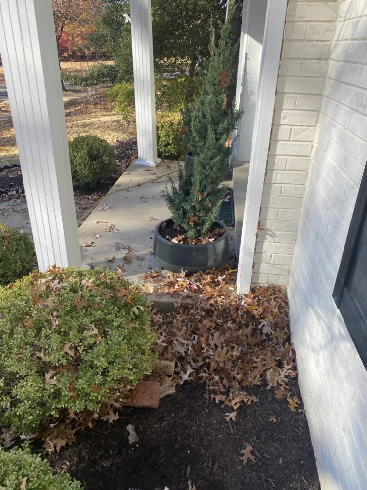 Top-rated landscape installation experts serving Saint Louis, MO - Tees Cut & Clean Lawn Care Services