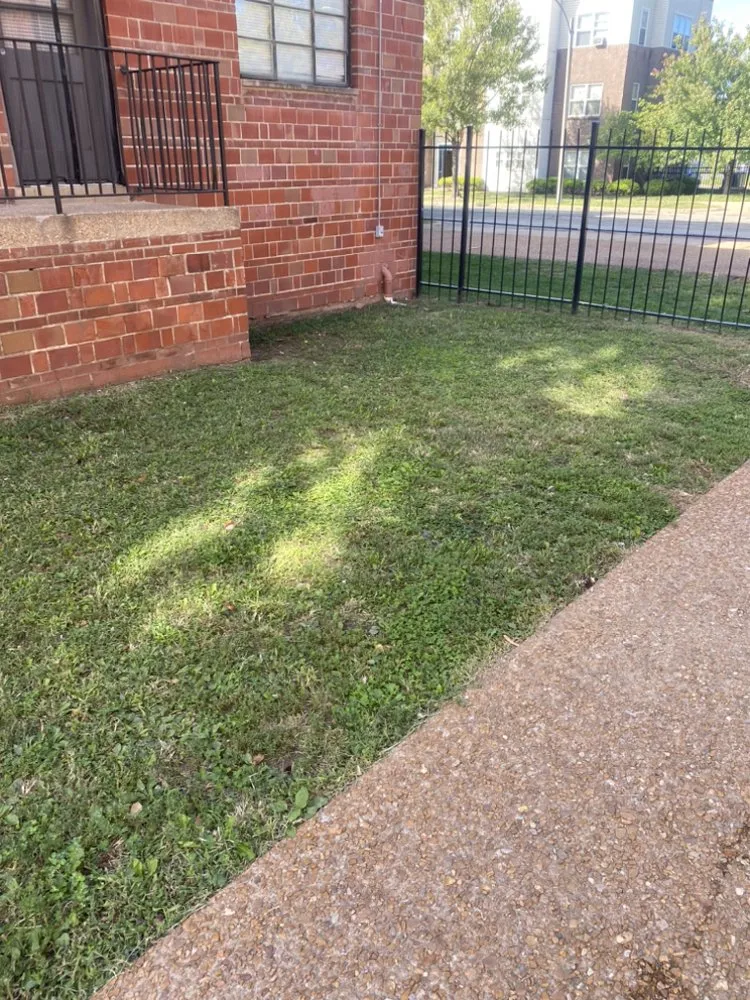 Trusted residential landscaping in Saint Louis, MO - Tees Cut & Clean Lawn Care Services