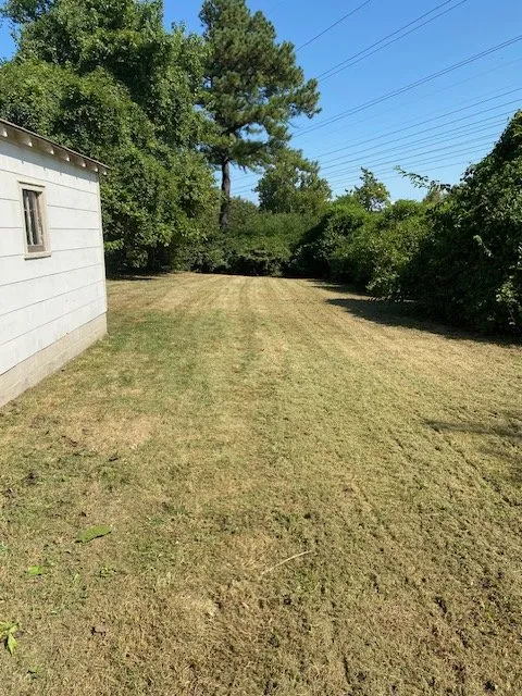 Custom lawn care service in Saint Louis, MO - Tees Cut & Clean Lawn Care Services