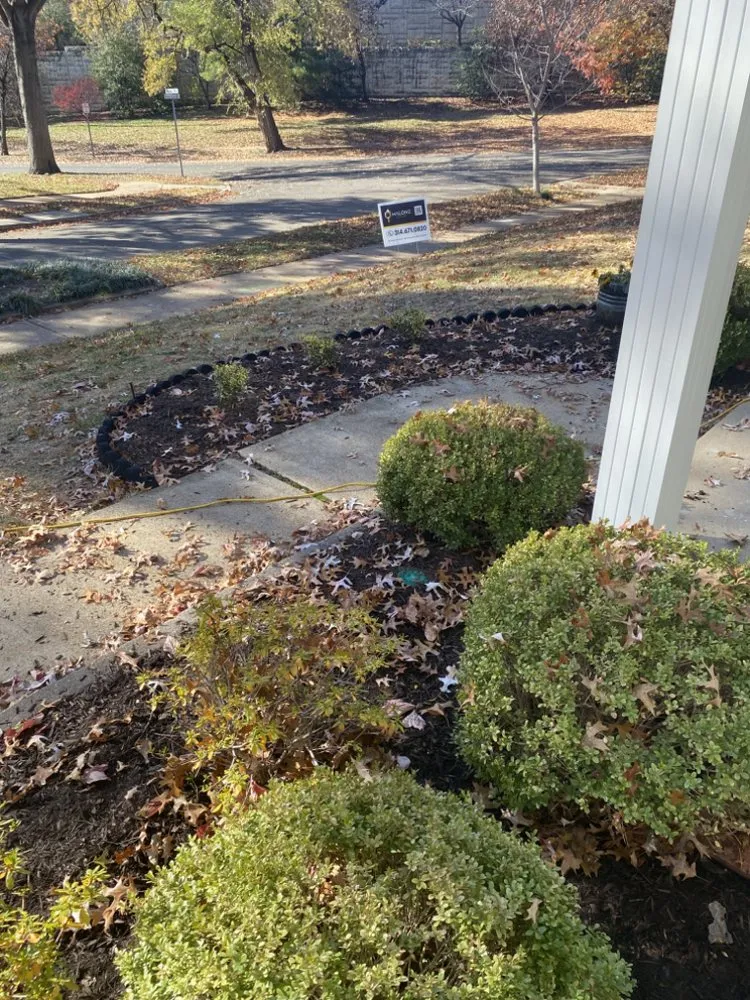 Custom yard maintenance in Saint Louis, MO by Tees Cut & Clean Lawn Care Services
