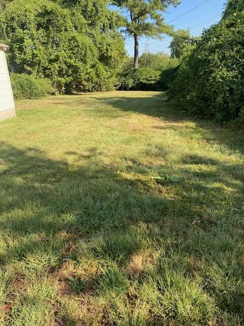 Professional landscape design in Saint Louis, MO - Tees Cut & Clean Lawn Care Services