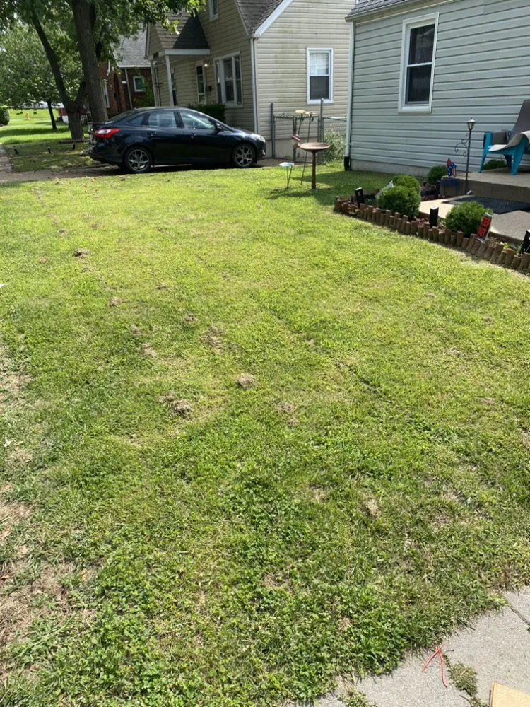 Local landscaping services for outdoor upgrades in Saint Louis, MO by Tees Cut & Clean Lawn Care Services