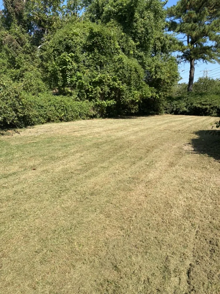 Trusted garden landscaping with custom design in Saint Louis, MO by Tees Cut & Clean Lawn Care Services
