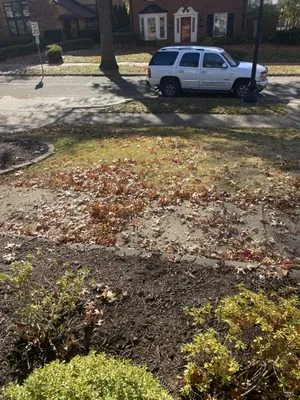 Tees Cut & Clean Lawn Care Services Logo