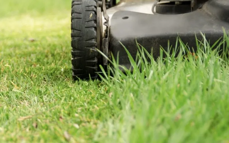 Affordable residential landscaping in Kenner, LA - Tee’s Lawn Care