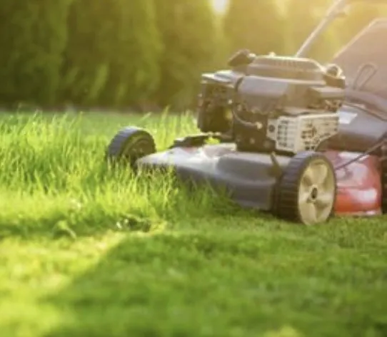 Custom yard cleanup service experts serving Kenner, LA - Tee’s Lawn Care