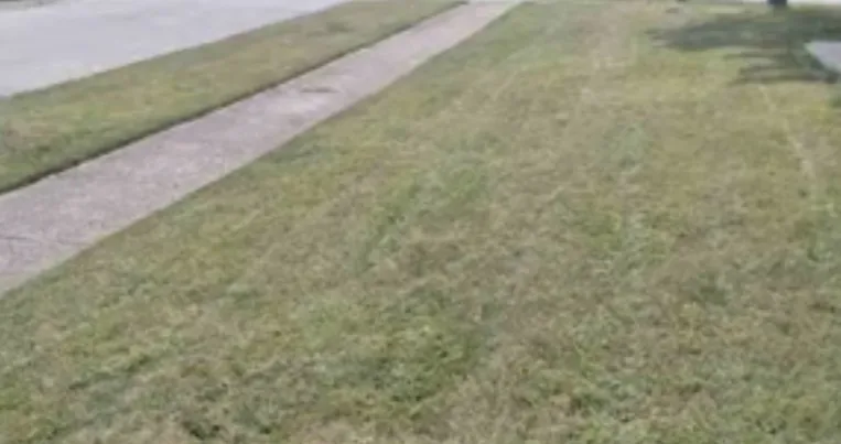 Affordable landscaping services for year-round maintenance across Kenner, LA - Tee’s Lawn Care