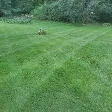 Professional lawn mowing service for beautiful yards across Stockton, CA - Tees Lawn Care