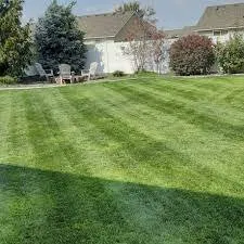 Affordable yard cleanup service in Stockton, CA by Tees Lawn Care