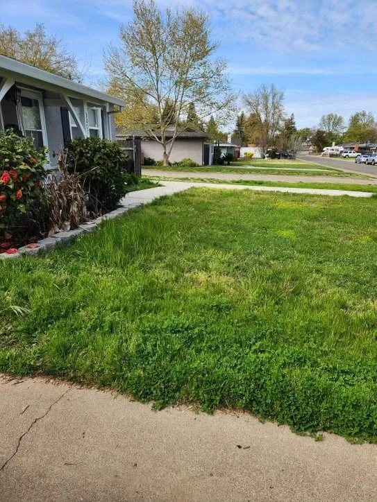Reliable landscape installation in Stockton, CA - Tees Lawn Care
