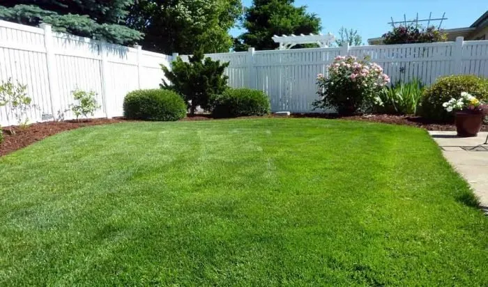 Custom lawn care service for beautiful yards across Stockton, CA - Tees Lawn Care